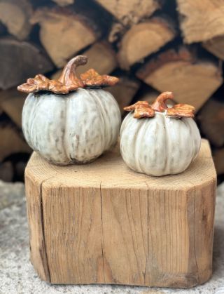 Pár podzimních novinek na mém ekrámku🍂🌾💌. Krásné dýně, nové svícny na úzké svíčky a sušený lagurus pro Vaše tvoření nebo...