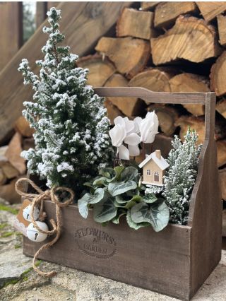 Zimní inspirace v bedýnce🌲🏡🤍. Brambořík, 2 živé stromečky a domečkový zápich🏡. Vše skladem na ekrámku, kromě živých...