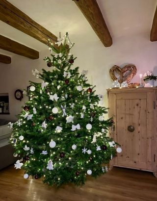 Náš loňský🌲🌟❤️. Už se těším na ten letošní❤️. Bude určitě podobný, jen menší, jelikož loňský se nám téměř nevešel🙈…Krásný...